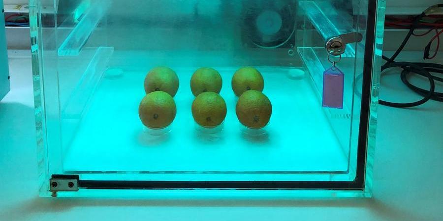 Equipamento de radiação onde as laranjas recebem tratamento para controlar doença (Divulgação)