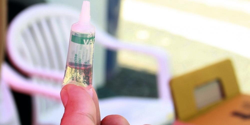 Vacina contra o sarampo está disponível nas unidades de saúde (Mara Sousa 1/9/2018)