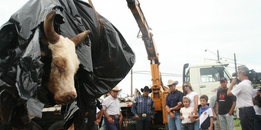 O touro, que pertencia ao empresário rio-pretense Paulo Emílio Marques, morreu na manhã do dia 4 de janeiro de 2009, um domingo, na fazenda Santa Martha, em Icém (Guilherme Baffi/Arquivo)