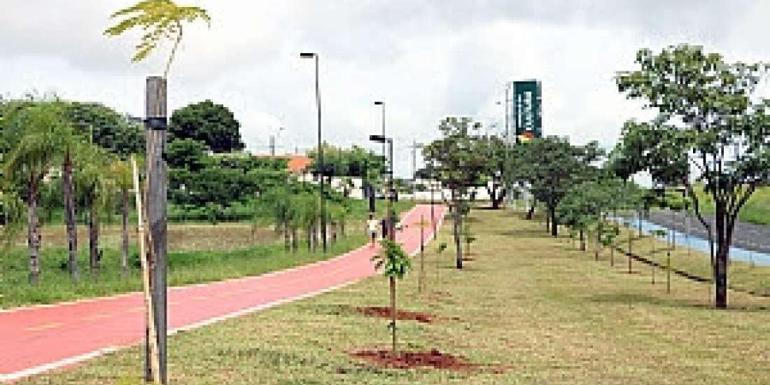 Município de Votuporanga disponibiliza árvores para plantios também pelo Disque Árvore (Divulgação/Saev Ambiental)