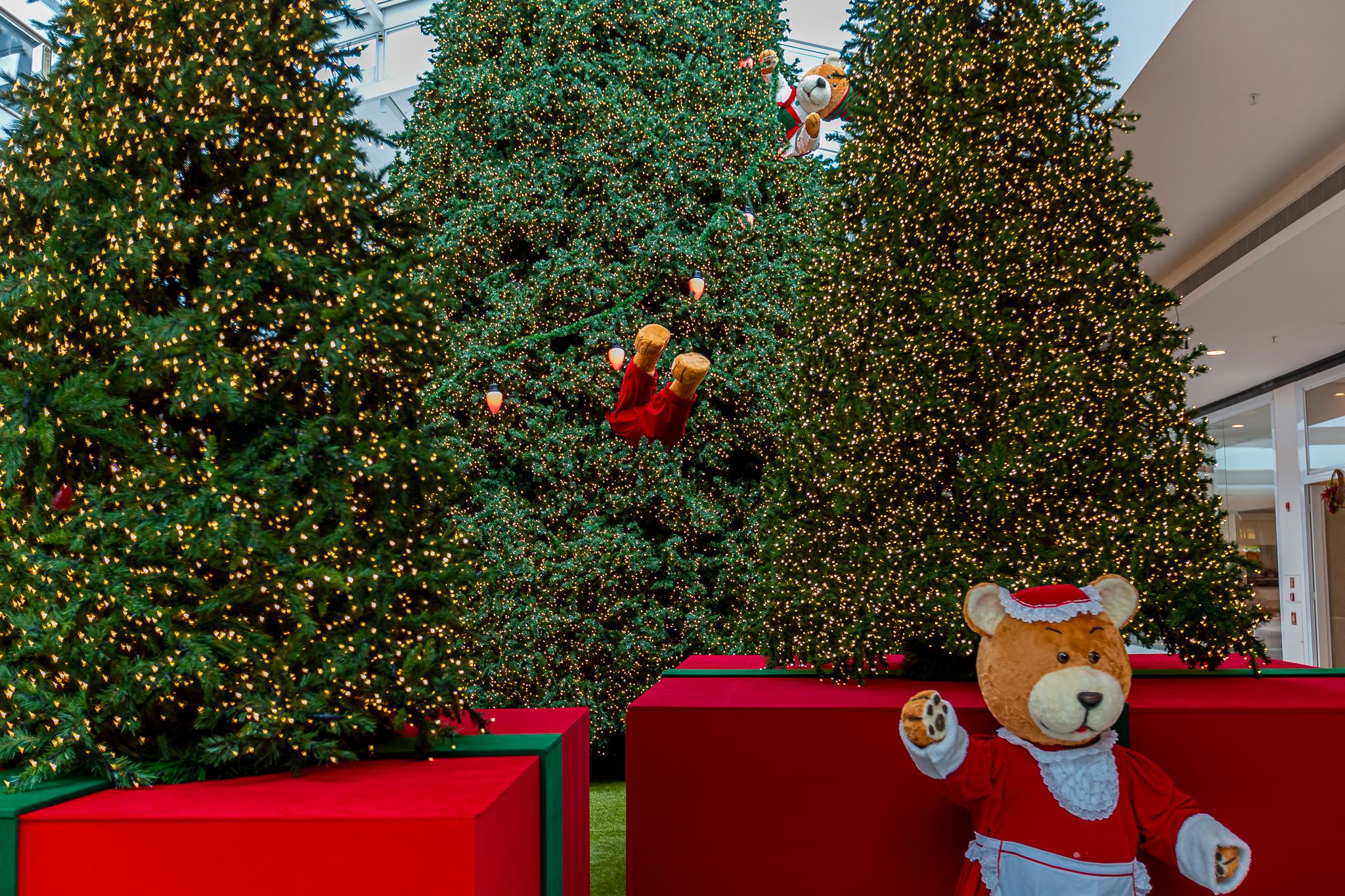 Iguatemi São José do Rio Preto inicia sua Promoção de Natal Iguatemi São José do Rio Preto inicia sua Promoção de Natal