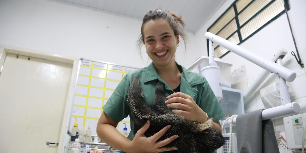 Mariana Ramalho, bióloga do Bosque, com filhote de tamanduá-bandeira resgatado após morte da mãe (Fotos: Johnny Torres 20/1/2020)