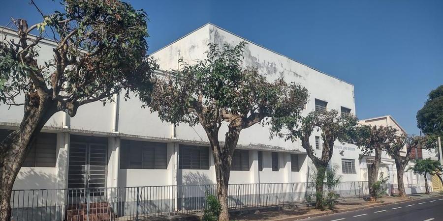 Árvores com poda drástica em rua da Santa Cruz (Rodrigo Lima 22/4/2022)