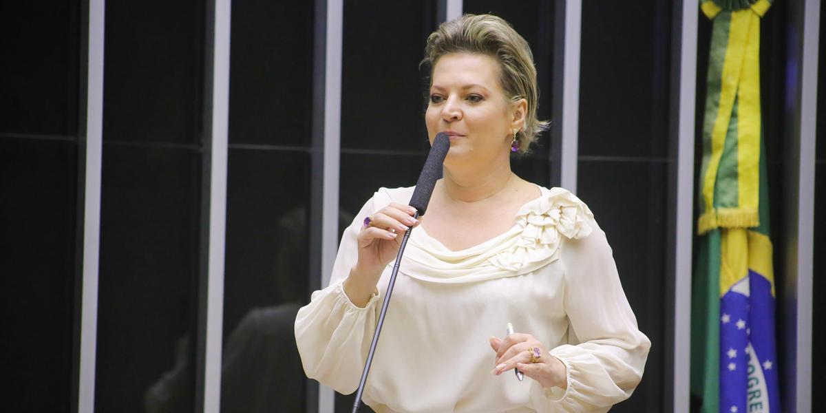 Joice Hasselmann (PSDB), deputada federal (Paulo Sérgio/Câmara dos Deputados)