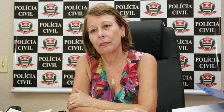 Delegada Dalice Ceron diz que muitas vítimas retiram a queixa, com medo da punição a um parente próximo (Edvaldo Santos/Arquivo)