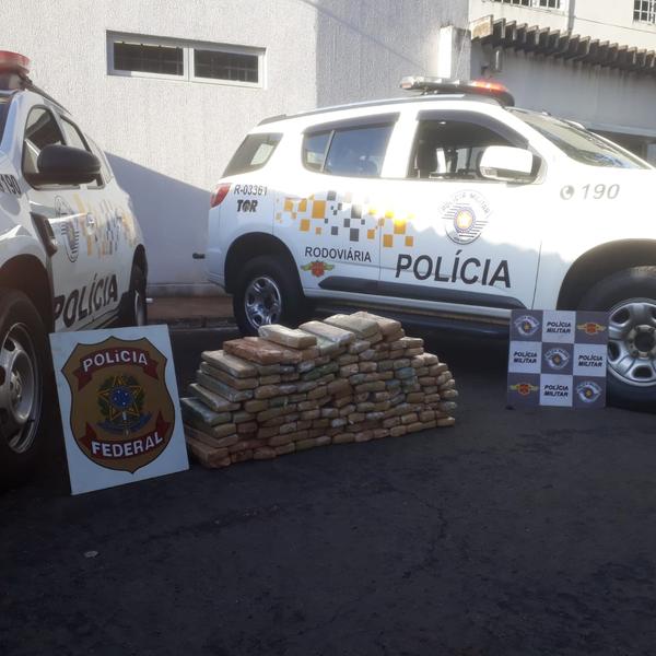 Polícia apreende 112 quilos de maconha na rodovia Feliciano Sales Cunha, em Poloni