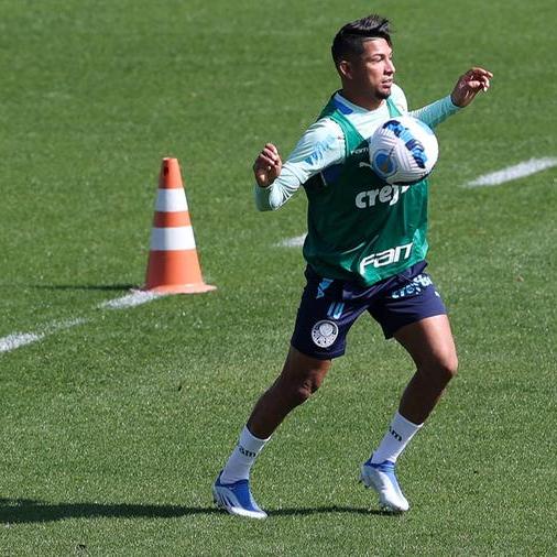 Palmeiras busca manter alta rotação na Libertadores