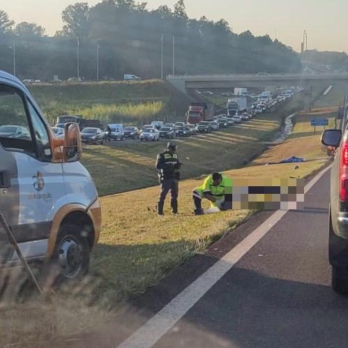 Motociclista morre em acidente na rodovia Washington Luís, em Rio Preto