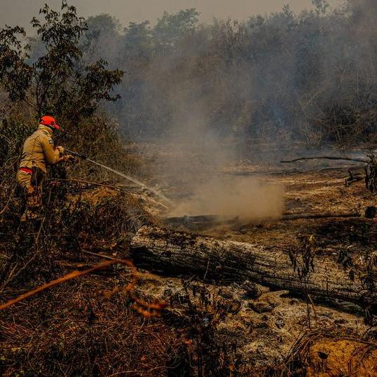 Grandes incêndios voltam a atingir a área do Pantanal