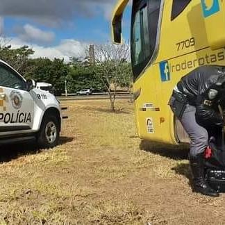 Polícia Militar de Rio Preto prende passageira com seis tijolos de maconha em ônibus