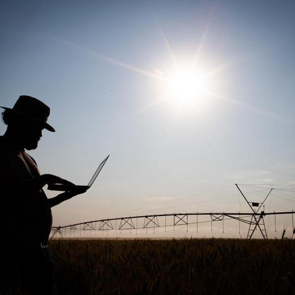 Mais de 70% das propriedades rurais ainda não possuem conexão de internet